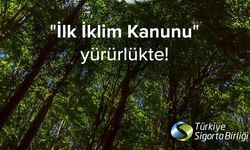 Sigorta sektörü, iklim değişikliğiyle mücadelede yeni kanunla yola çıkıyor