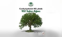 GIG Sigorta'nın ağaç sevgisi kök salıyor