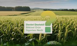 Üreticinin güvencesi: Devlet destekli bitkisel ürün sigortası