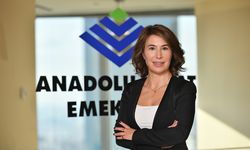 Anadolu Hayat Emeklilik’e Entegre Raporlama Alanında İki Prestijli Ödül