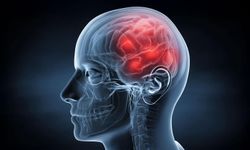 Telefona sürekli bakmak hafızayı kötü etkiliyor