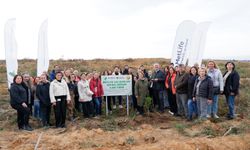 MetLife Türkiye'den Doğaya Katkı