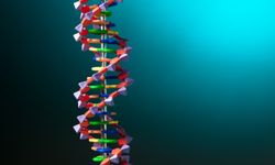 Bu araştırma yaşla ilgili bildiğimiz her şeyi yerle bir etti!