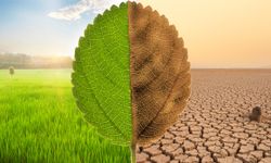 İklim değişikliği sigorta sektörünü de vurdu