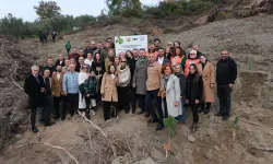 Anadolu Sigorta’dan 100 Bin Fidanlık Yeşil Miras