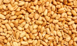 Uzmanlar, hafızayı güçlendirmenin sırrını açıkladı