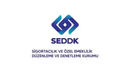SEDDK uluslararası basında!