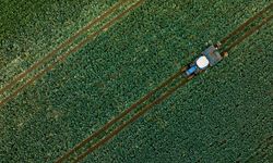 Çiftçilere 1,1 milyar liralık tarımsal destekleme ödemesi yapılacak