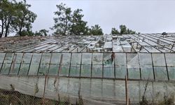 TARSİM'den sel mağduru üreticilere hasar ödemesi