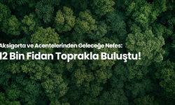 Aksigorta ve acentelerinden doğaya katkı: 12.631 fidanlık hatıra ormanı