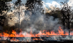 Artan doğal afetler sigorta sektöründe küresel risk oluşturuyor