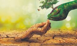 Aslı Gök yazdı: İklim Krizi ve Sigortanın Geleceği