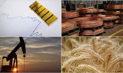 Emtia piyasalarında gündem sigorta maliyetleri