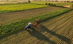 İklim krizi ve tarım: Gelecek için sigorta şart