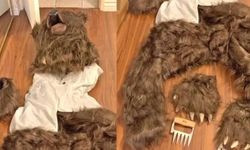 Sigorta dolandırıcılığında yeni yöntem: Ayı kılığı