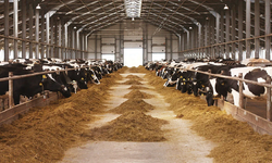 Sigorta destekli teşvik atağı: Güneydoğu’daki yatırımlara yeni güvence