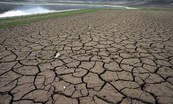 Kuraklık riskine karşı tarımda sigorta güvencesi öne çıkıyor