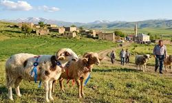 Ersoy’dan bayram tatili açıklaması: 9 günlük formül masada