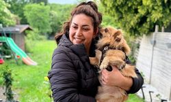 Köpeğini sokağa salana 25 bin euro ceza: Zorunlu sigorta dönemi