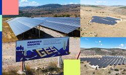 Anadolu Sigorta’dan sürdürülebilirlik adımı: Sinop’ta GES yatırımı