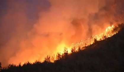 Yangın vurdu, fırtına süpürdü: Sigorta şirketleri ne yapacak?