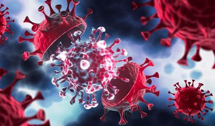 Yeni pandemi kapıda mı?