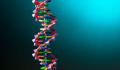 Bu araştırma yaşla ilgili bildiğimiz her şeyi yerle bir etti!