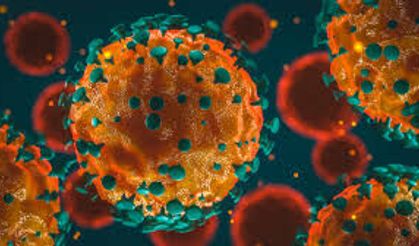 Acillerde vaka sayısı artıyor