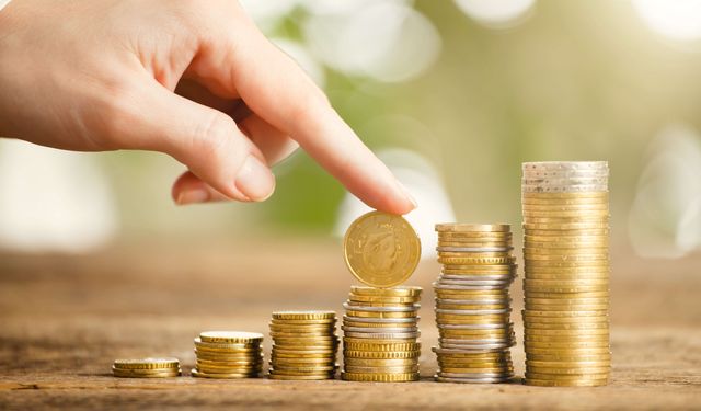 EGM, Bireysel Emeklilik Sistemi’nin 2024 yılı Risk Envanteri'ni yayınladı
