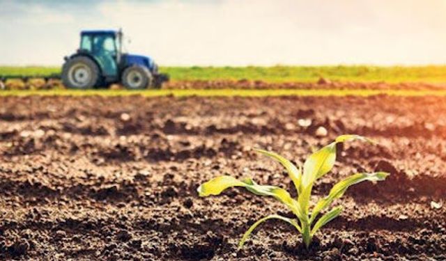 Tarım sigortalarında risk değerlendirmesini ve hasar süreçlerini dönüştürüyor