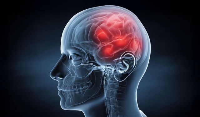 Nörologlar, beyin sağlığı için uzak durdukları 6 gıdayı açıkladı