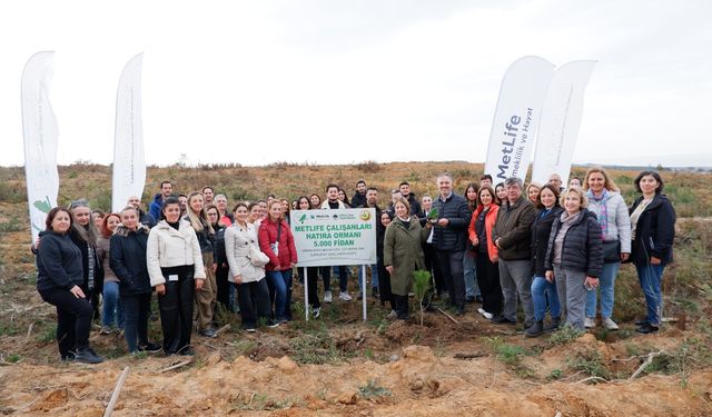 MetLife Türkiye'den Doğaya Katkı