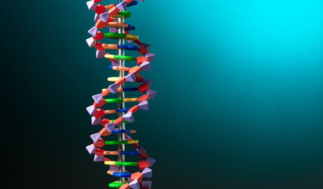 Bu araştırma yaşla ilgili bildiğimiz her şeyi yerle bir etti!