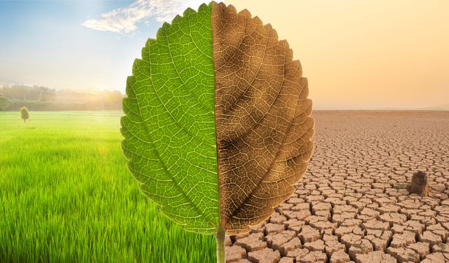 İklim değişikliği sigorta sektörünü de vurdu