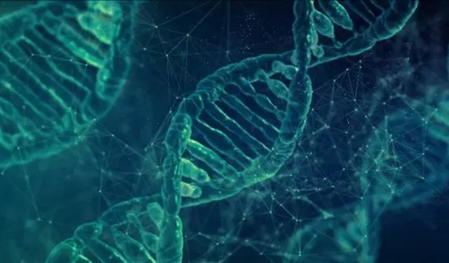 Y kromozomu yok olabilir, insanlık devam edebilir