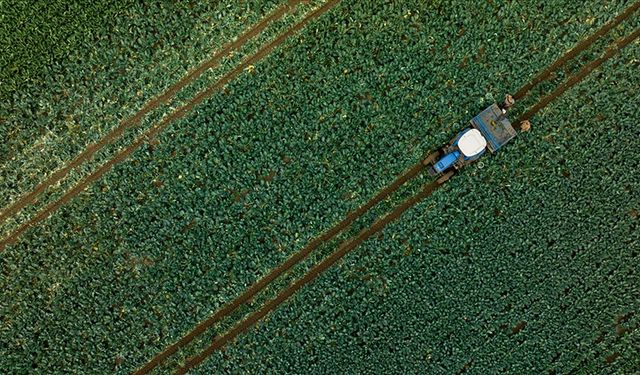 Çiftçilere 1,1 milyar liralık tarımsal destekleme ödemesi yapılacak