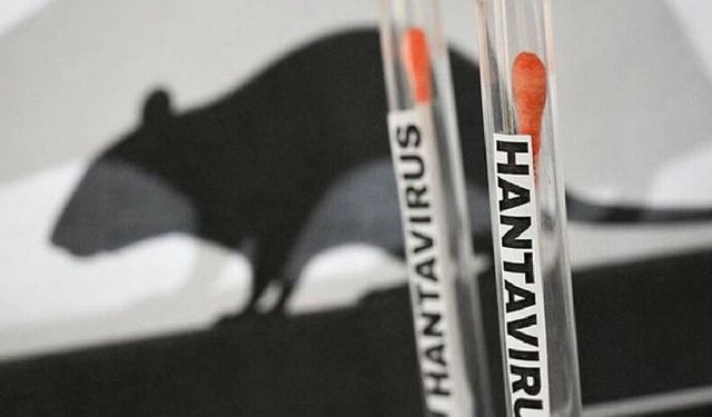 Dünya Hantavirüsü konuşuyor: DSÖ’den kritik uyarı
