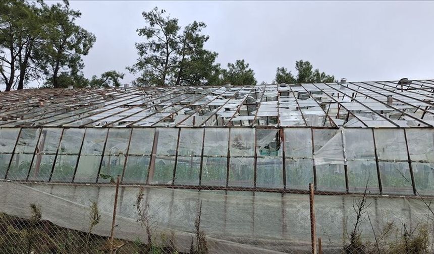 TARSİM'den sel mağduru üreticilere hasar ödemesi