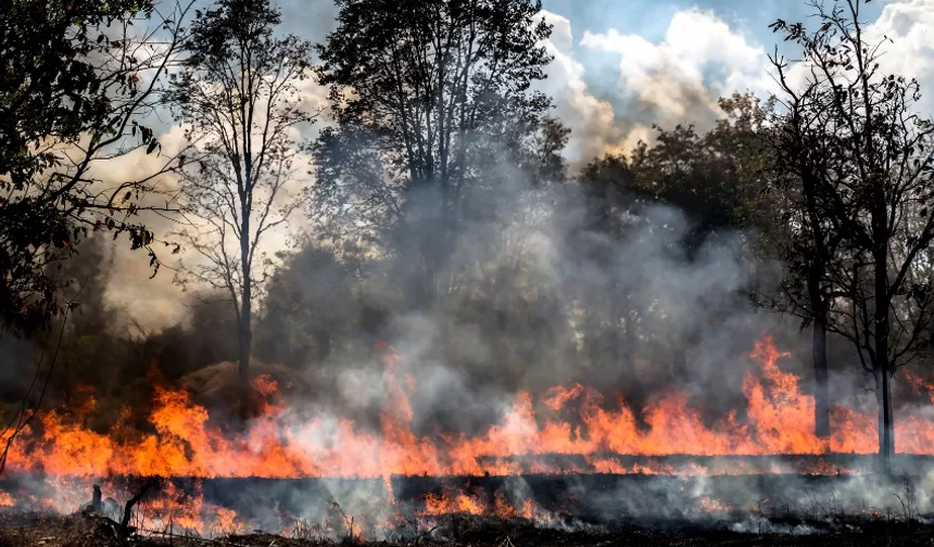 Artan doğal afetler sigorta sektöründe küresel risk oluşturuyor