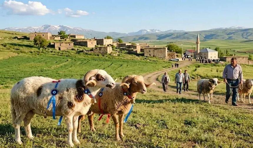 Ersoy’dan bayram tatili açıklaması: 9 günlük formül masada